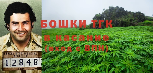 бошки Белокуриха