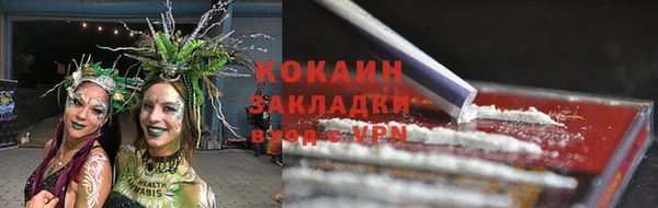 бошки Белокуриха