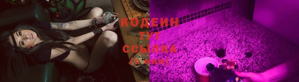 бошки Белокуриха